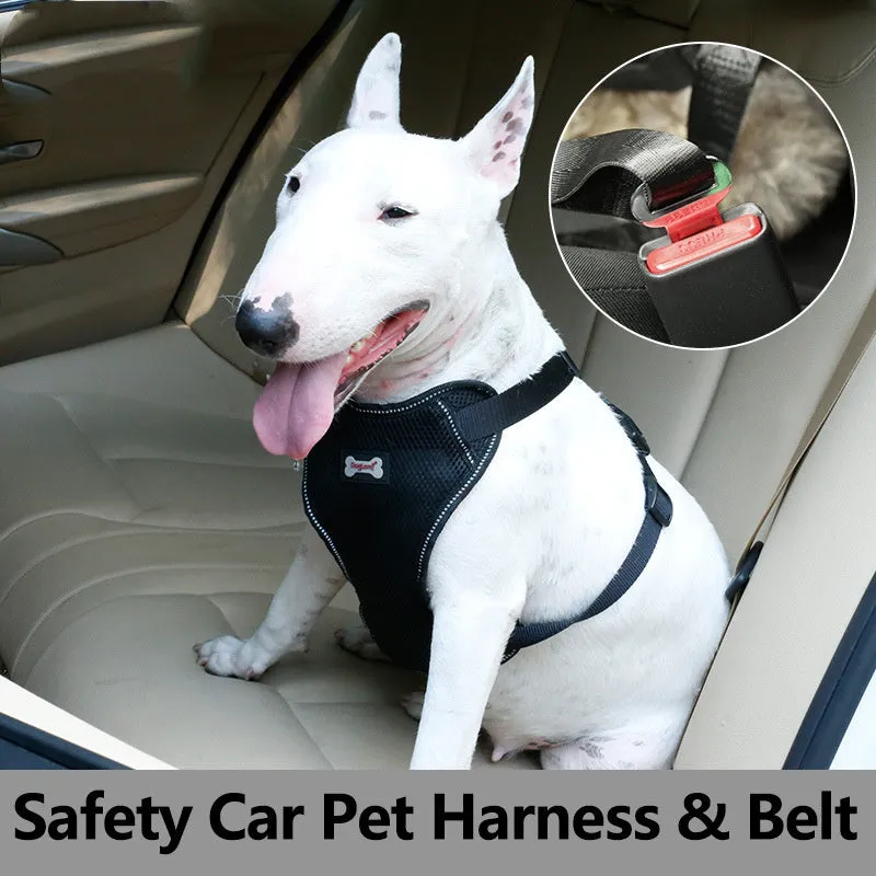Mesh bumps pet car seat belt chest strap in black and blue for dogs and cats sizes S M L XL