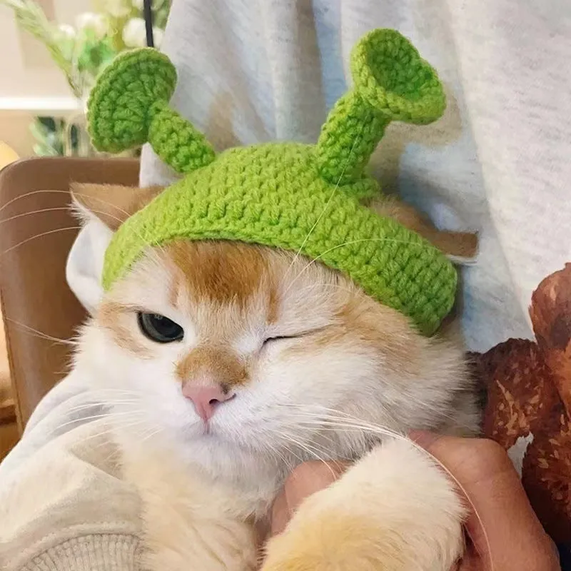 Handmade knitted green acrylic hat for small cat or dog, average size, casual style