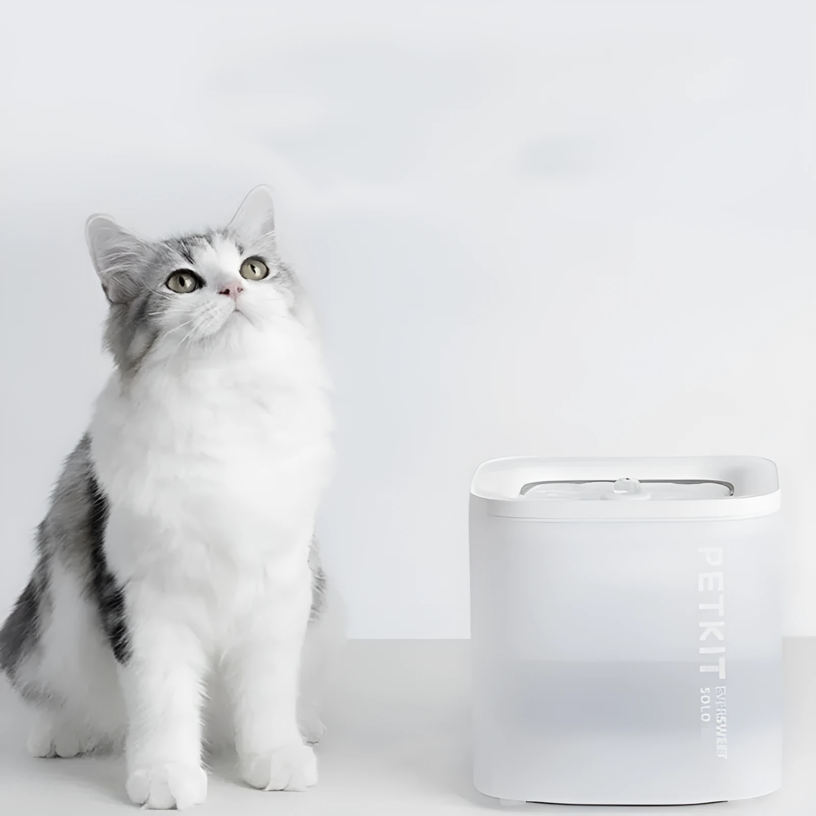 Xiaopei SOLO2 smart pet water dispenser with wireless operation for dogs and cats