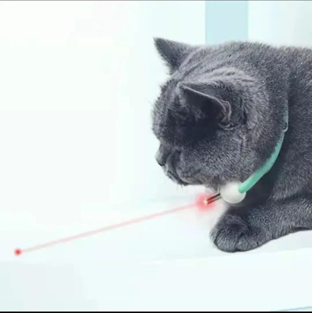 Automatic cat teaser laser toy with PC TPC construction in laser collar colour