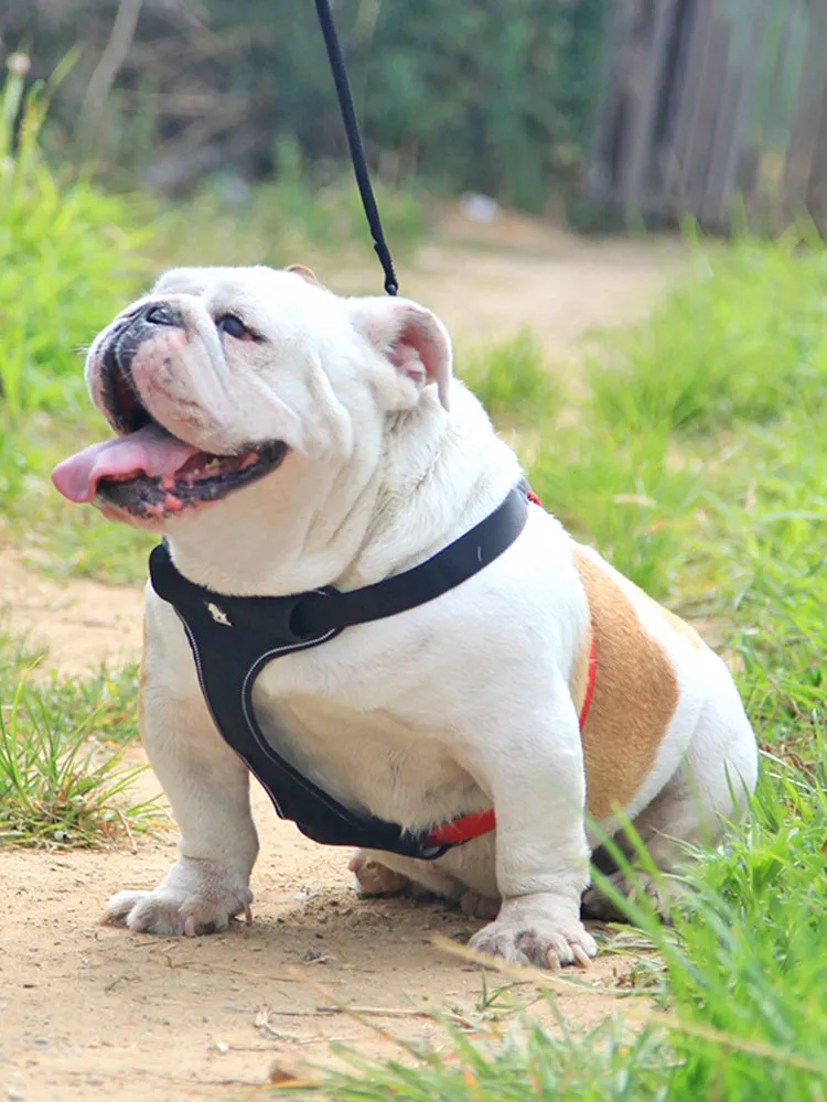 Dog leash collar in Oxford cloth with breathable mesh and zinc alloy clip, available in multiple sizes and colours