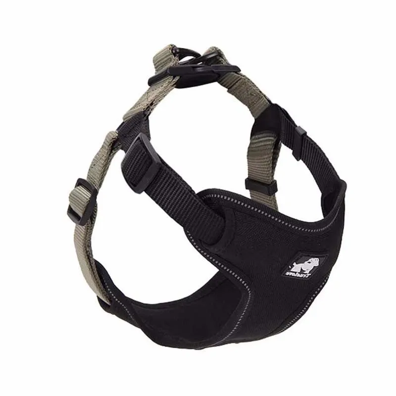 Dog leash collar in Oxford cloth with breathable mesh and zinc alloy clip, available in multiple sizes and colours
