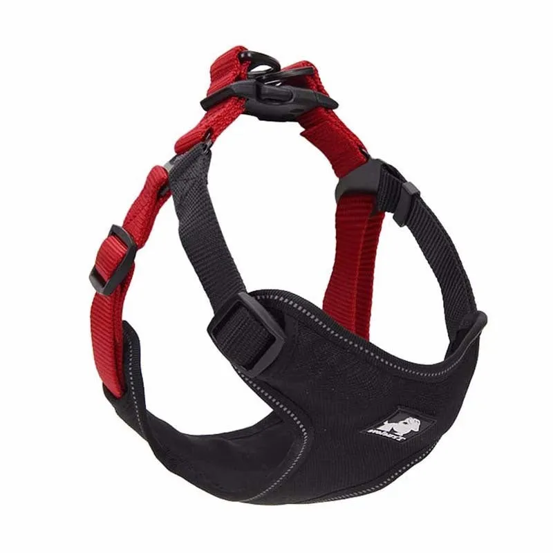 Dog leash collar in Oxford cloth with breathable mesh and zinc alloy clip, available in multiple sizes and colours