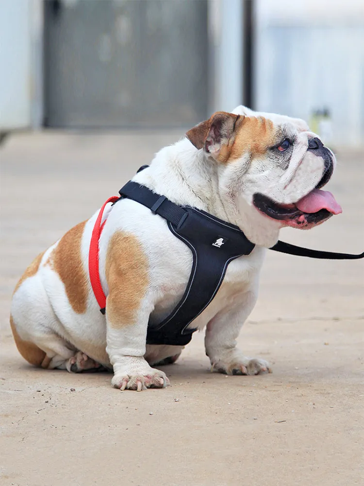 Dog leash collar in Oxford cloth with breathable mesh and zinc alloy clip, available in multiple sizes and colours