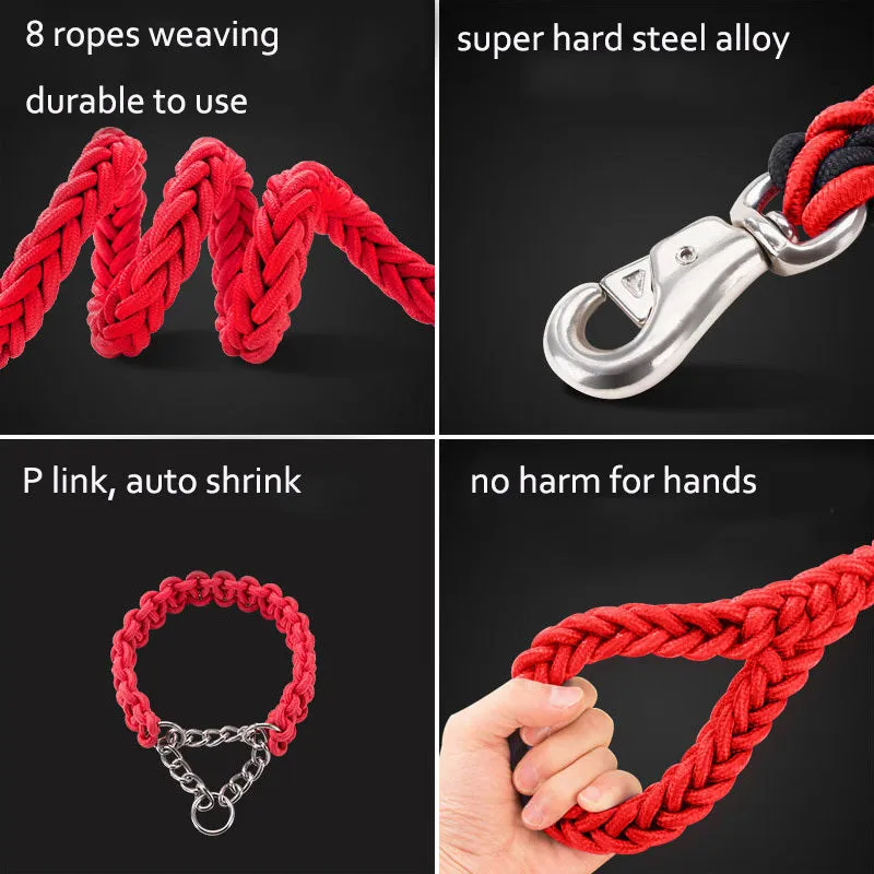 Heavy-duty nylon braided dog collar and leash set in black with rotatable hook on a dog