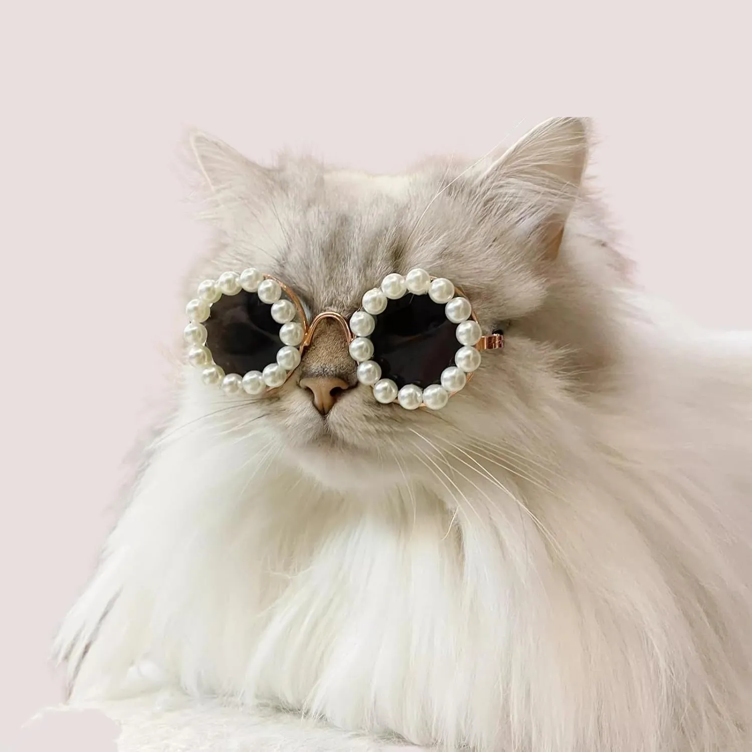 Pearl-rimmed round sunglasses for cats and dogs in multiple colours and sizes