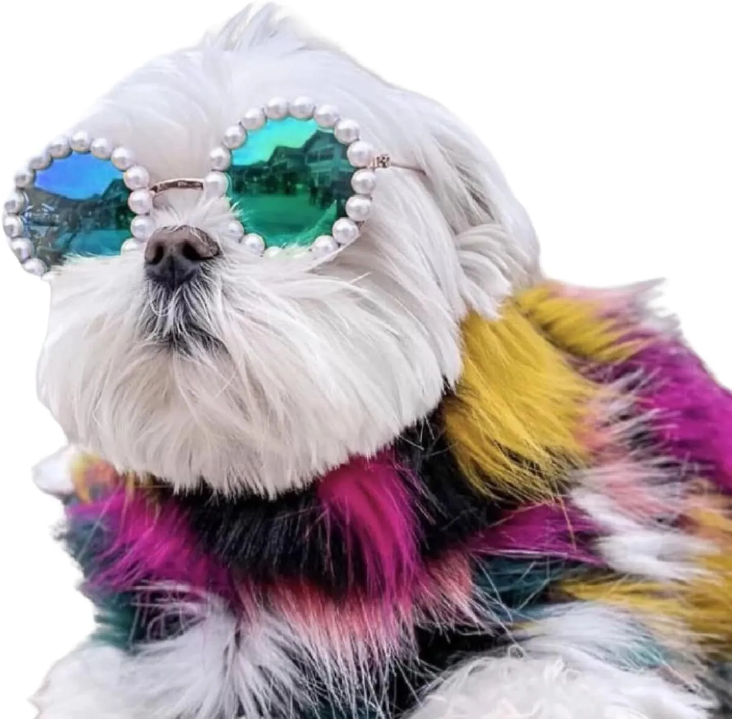 Pearl-rimmed round sunglasses for cats and dogs in multiple colours and sizes