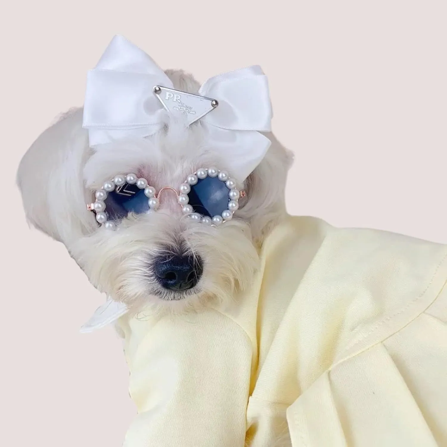 Pearl-rimmed round sunglasses for cats and dogs in multiple colours and sizes