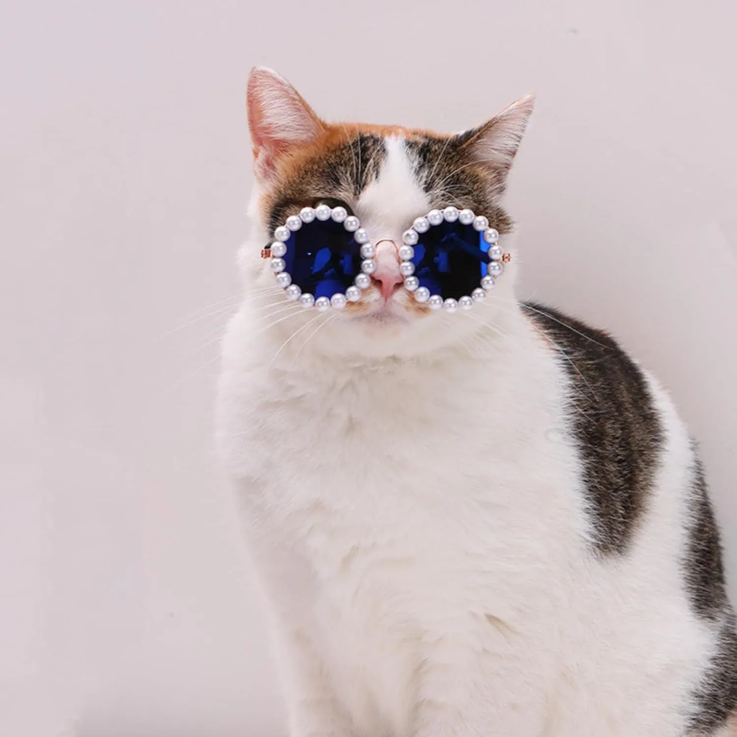 Pearl-rimmed round sunglasses for cats and dogs in multiple colours and sizes
