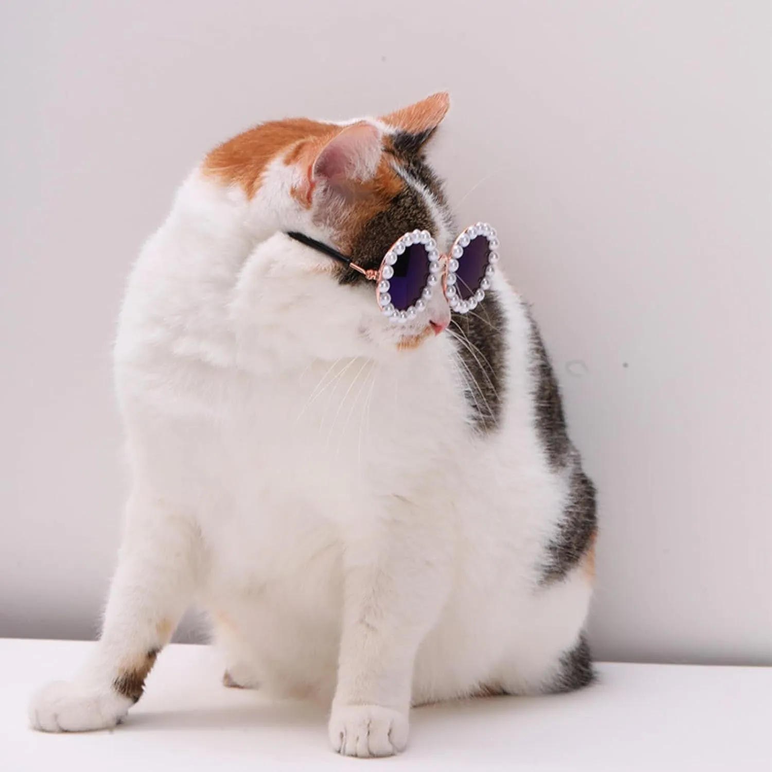 Pearl-rimmed round sunglasses for cats and dogs in multiple colours and sizes