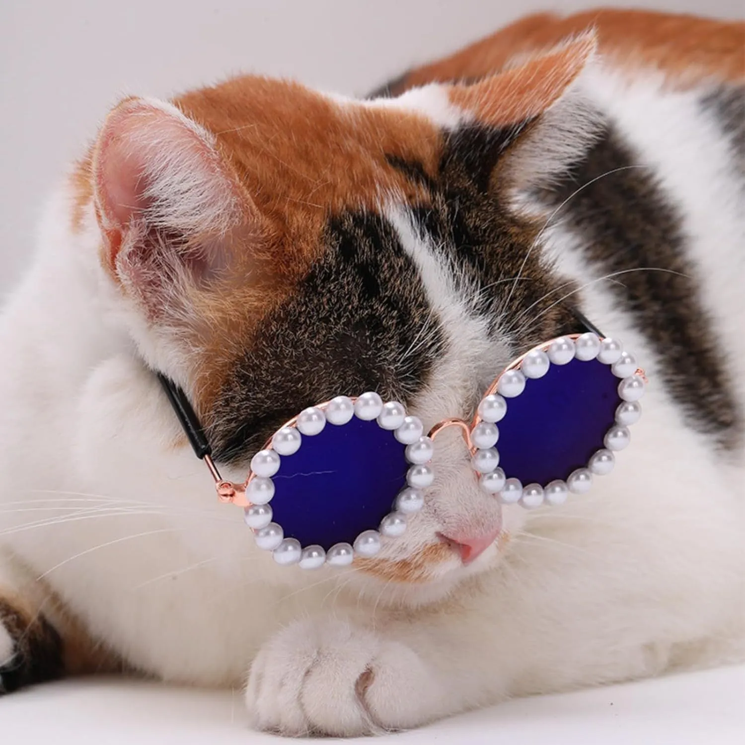 Pearl-rimmed round sunglasses for cats and dogs in multiple colours and sizes