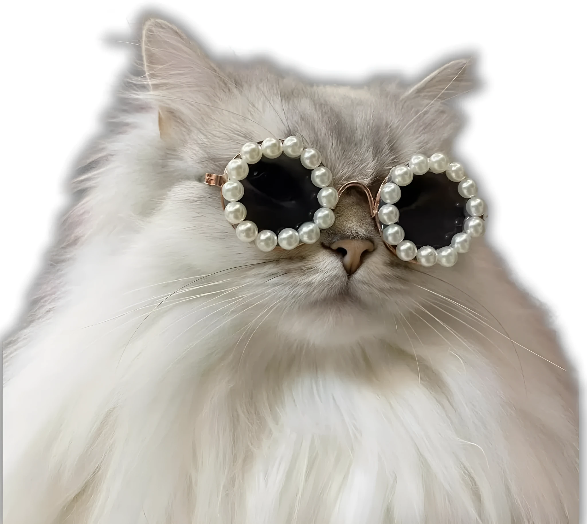 Pearl-rimmed round sunglasses for cats and dogs in multiple colours and sizes