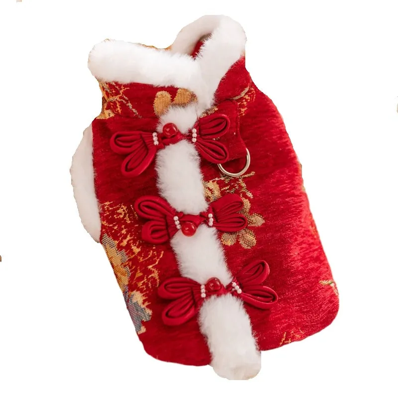 Small dog wearing red and gold brocade Tang suit with frog knot and white fluffy trim for Lunar New Year