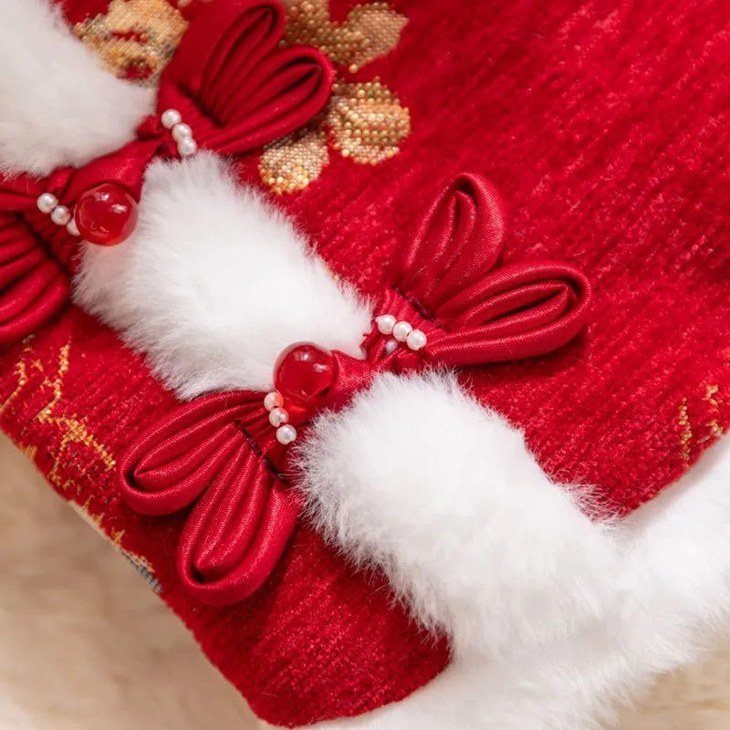 Small dog wearing red and gold brocade Tang suit with frog knot and white fluffy trim for Lunar New Year