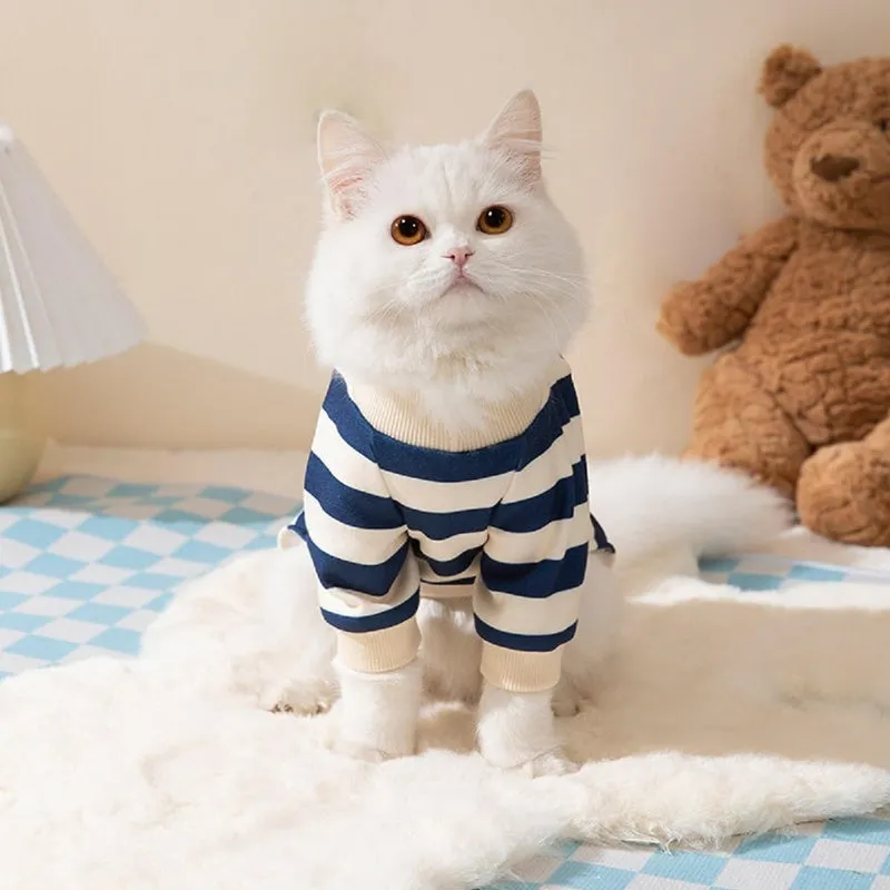 Blue striped bear four-legged pet pyjamas on a small dog with pullover round neck and long sleeves