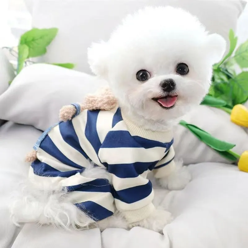 Blue striped bear four-legged pet pyjamas on a small dog with pullover round neck and long sleeves