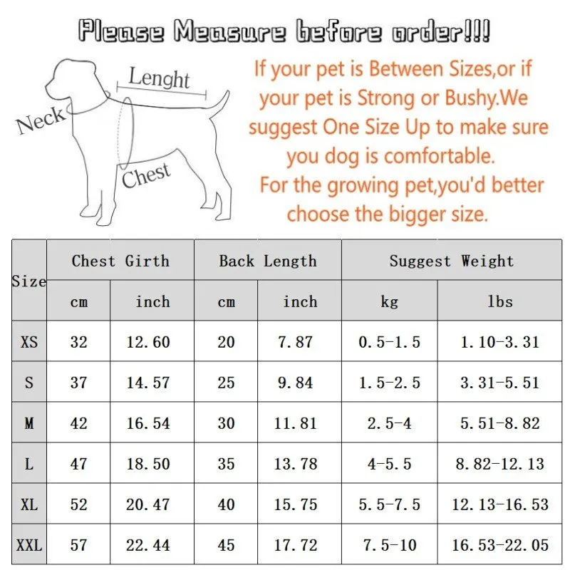 Blue striped bear four-legged pet pyjamas on a small dog with pullover round neck and long sleeves