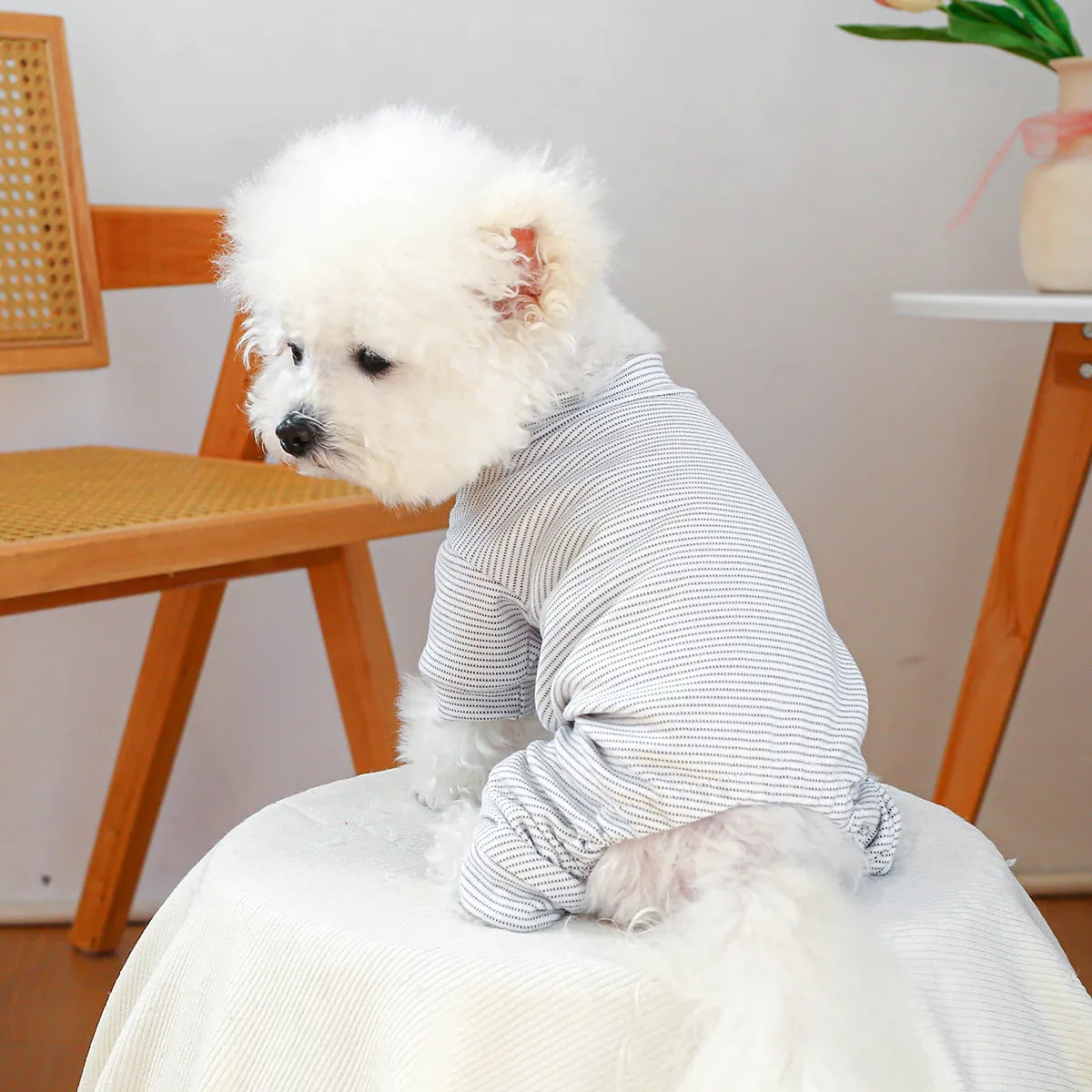 Pet belly-wrap four-legged polyester outfit in various colours including banana, Halloween, and Christmas patterns