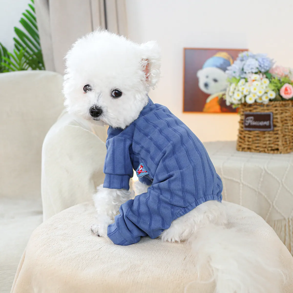 Pet belly-wrap four-legged polyester outfit in various colours including banana, Halloween, and Christmas patterns