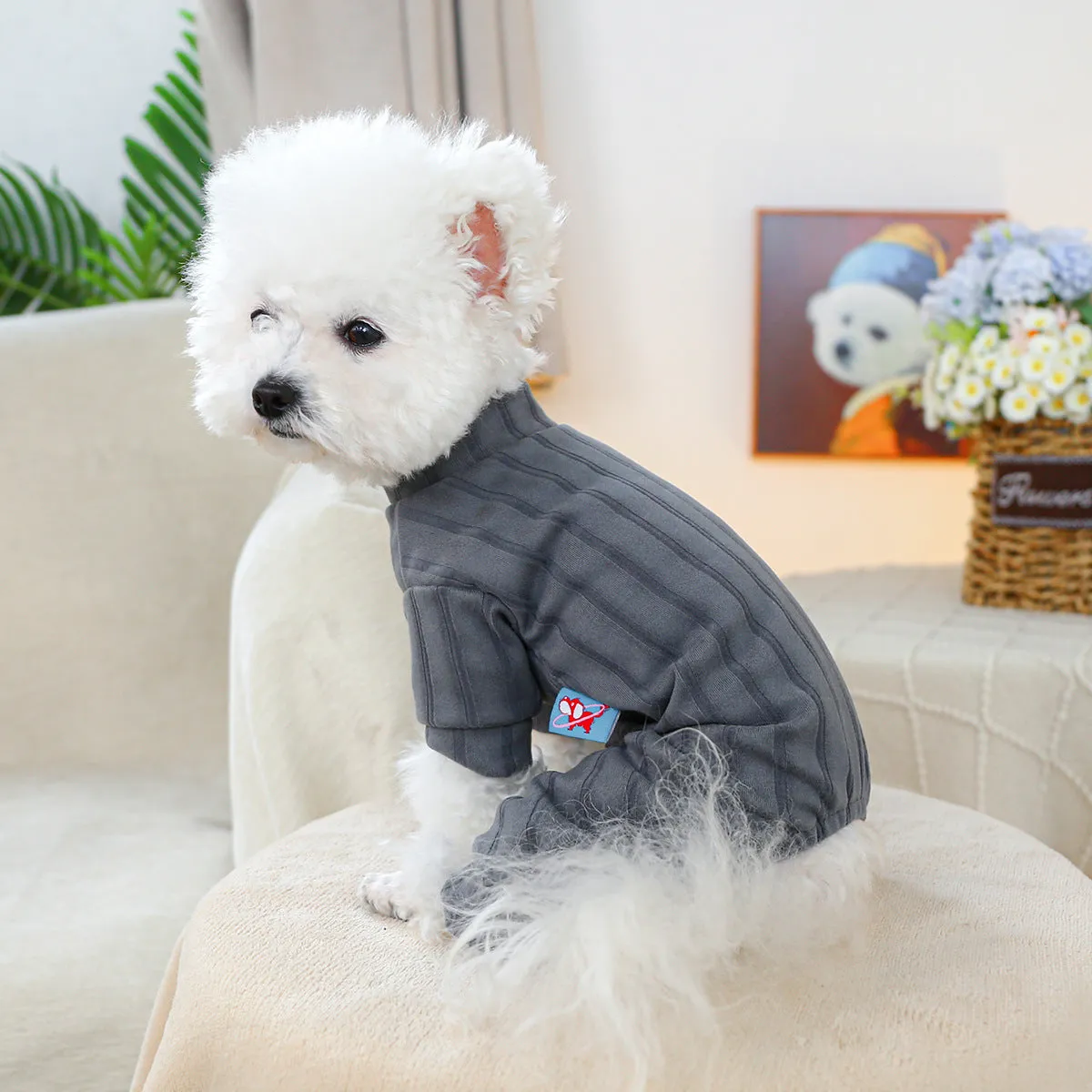 Pet belly-wrap four-legged polyester outfit in various colours including banana, Halloween, and Christmas patterns