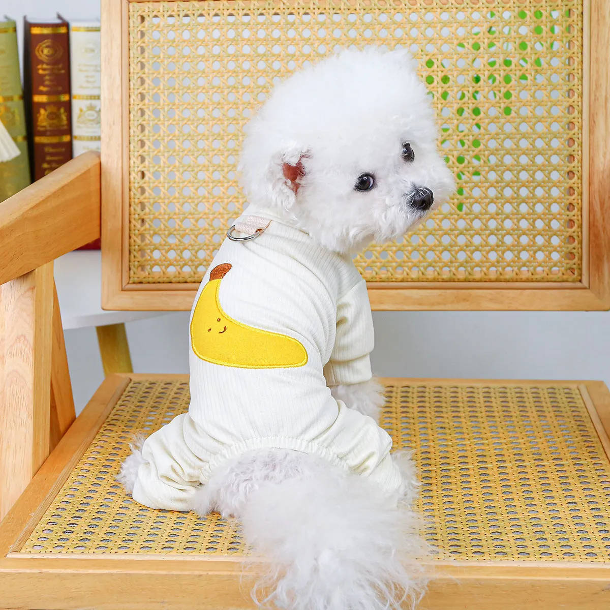 Pet belly-wrap four-legged polyester outfit in various colours including banana, Halloween, and Christmas patterns