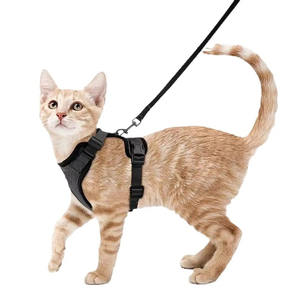 Adjustable anti-escape cat leash in sky blue made of polyester for small cats and kittens