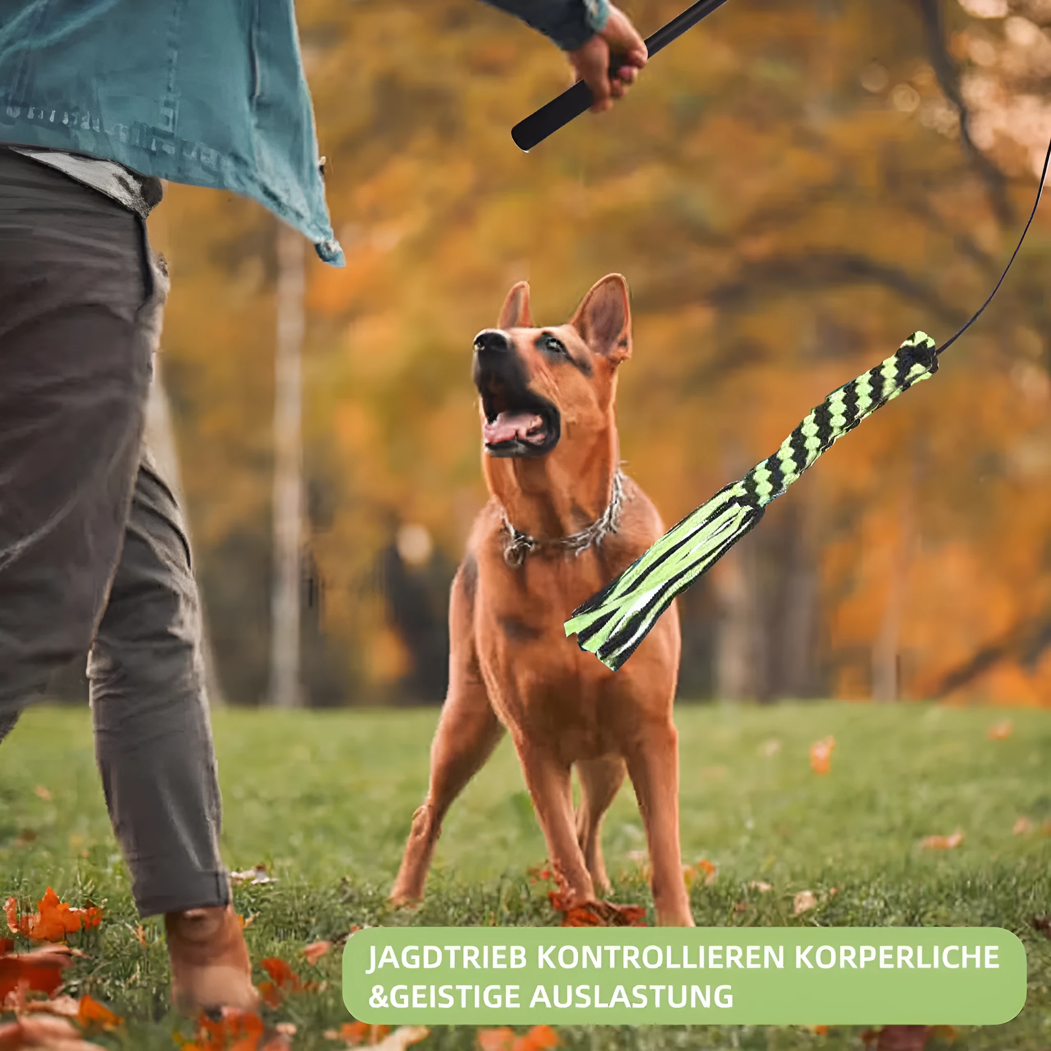 102cm black three-section aluminium alloy telescopic dog teasing rod with two bite ropes and one ball on a white background