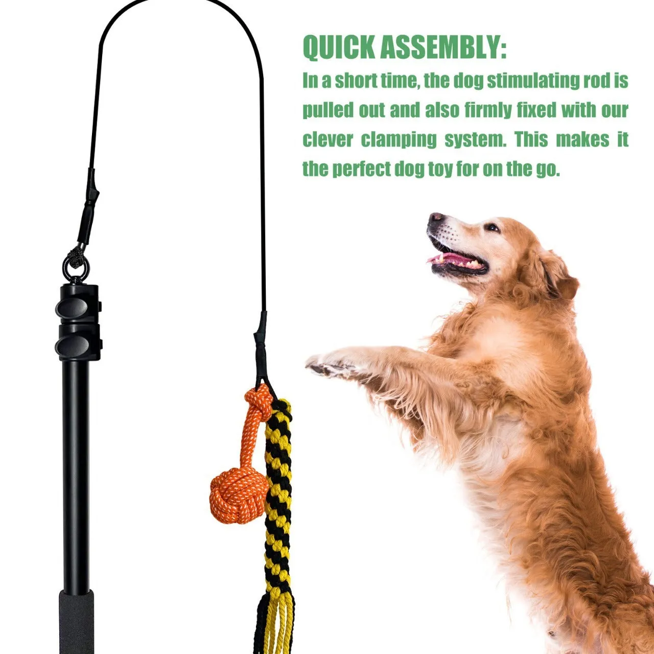 102cm black three-section aluminium alloy telescopic dog teasing rod with two bite ropes and one ball on a white background
