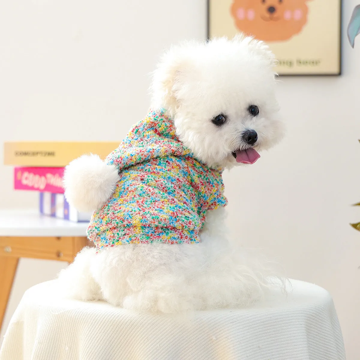 Colourful candy polyester hoodie for small dogs and cats, unisex design