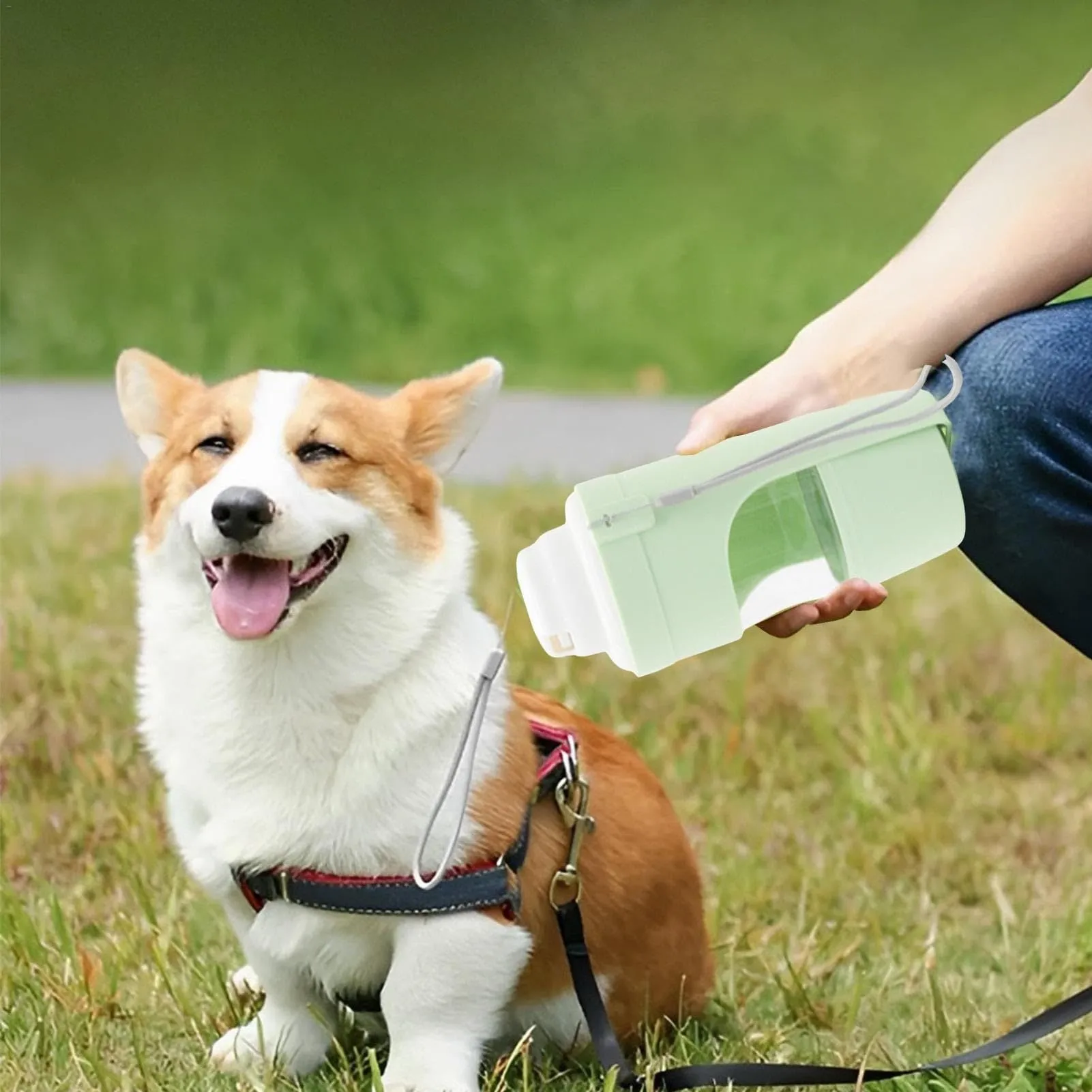 Grey 2-in-1 travel dog water bottle with 690ml capacity, lanyard, and dry-wet separation design for outdoor use