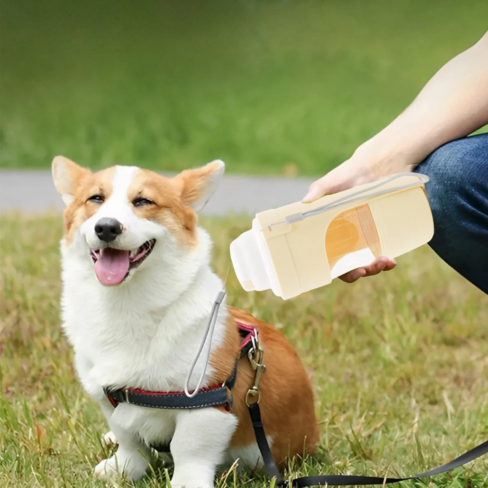Grey 2-in-1 travel dog water bottle with 690ml capacity, lanyard, and dry-wet separation design for outdoor use