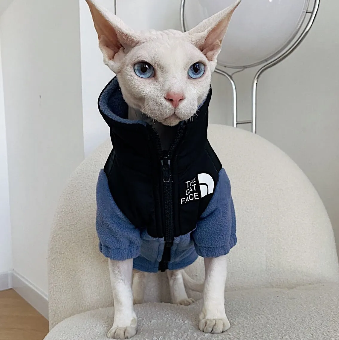 Hairless cat wearing a coral fleece jumpsuit in army green, side view on neutral background