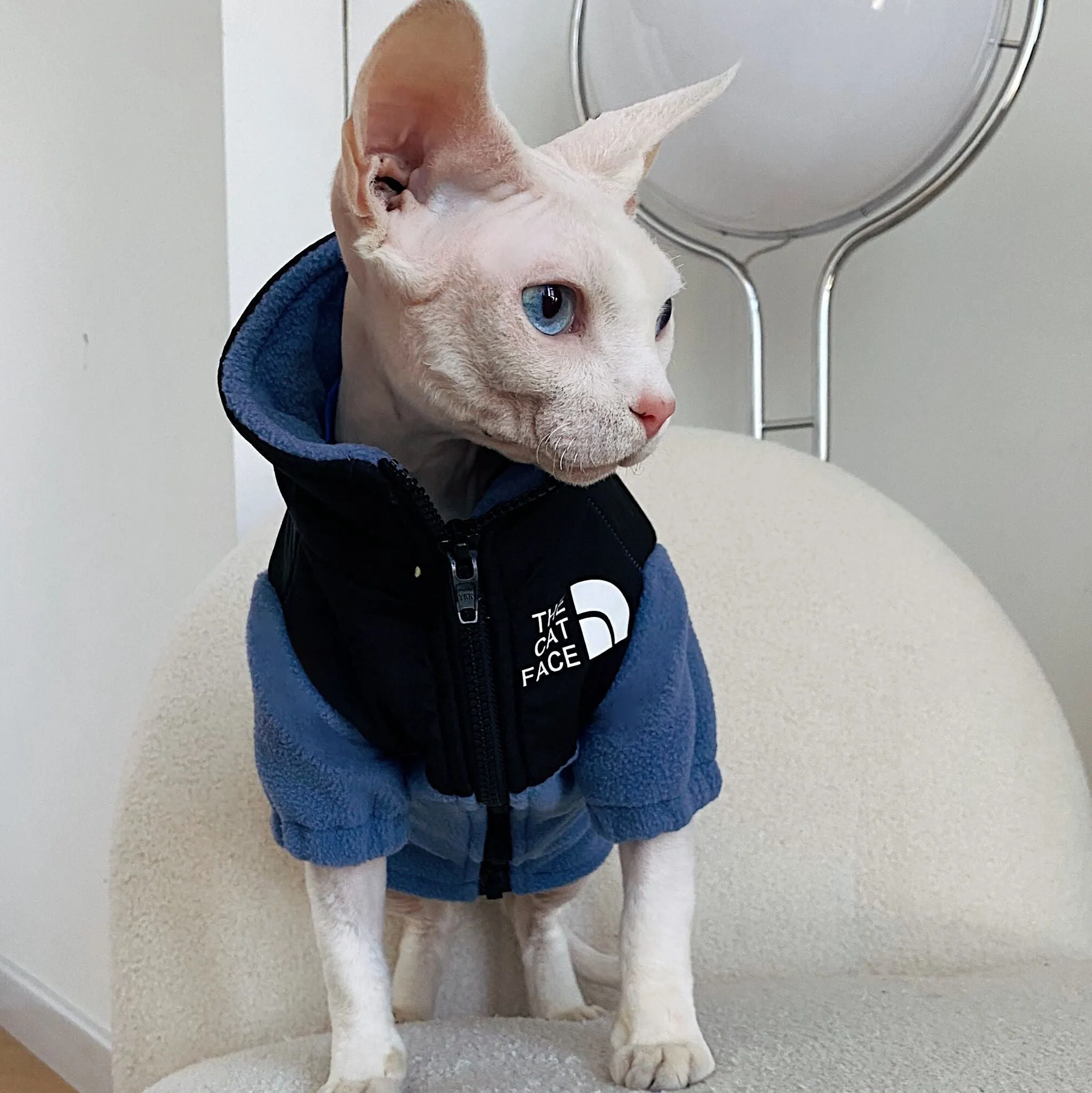 Hairless cat wearing a coral fleece jumpsuit in army green, side view on neutral background