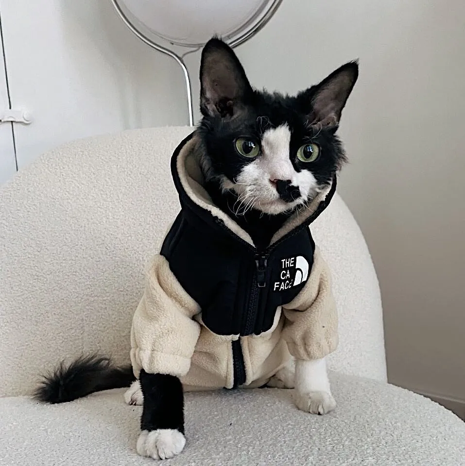 Hairless cat wearing a coral fleece jumpsuit in army green, side view on neutral background