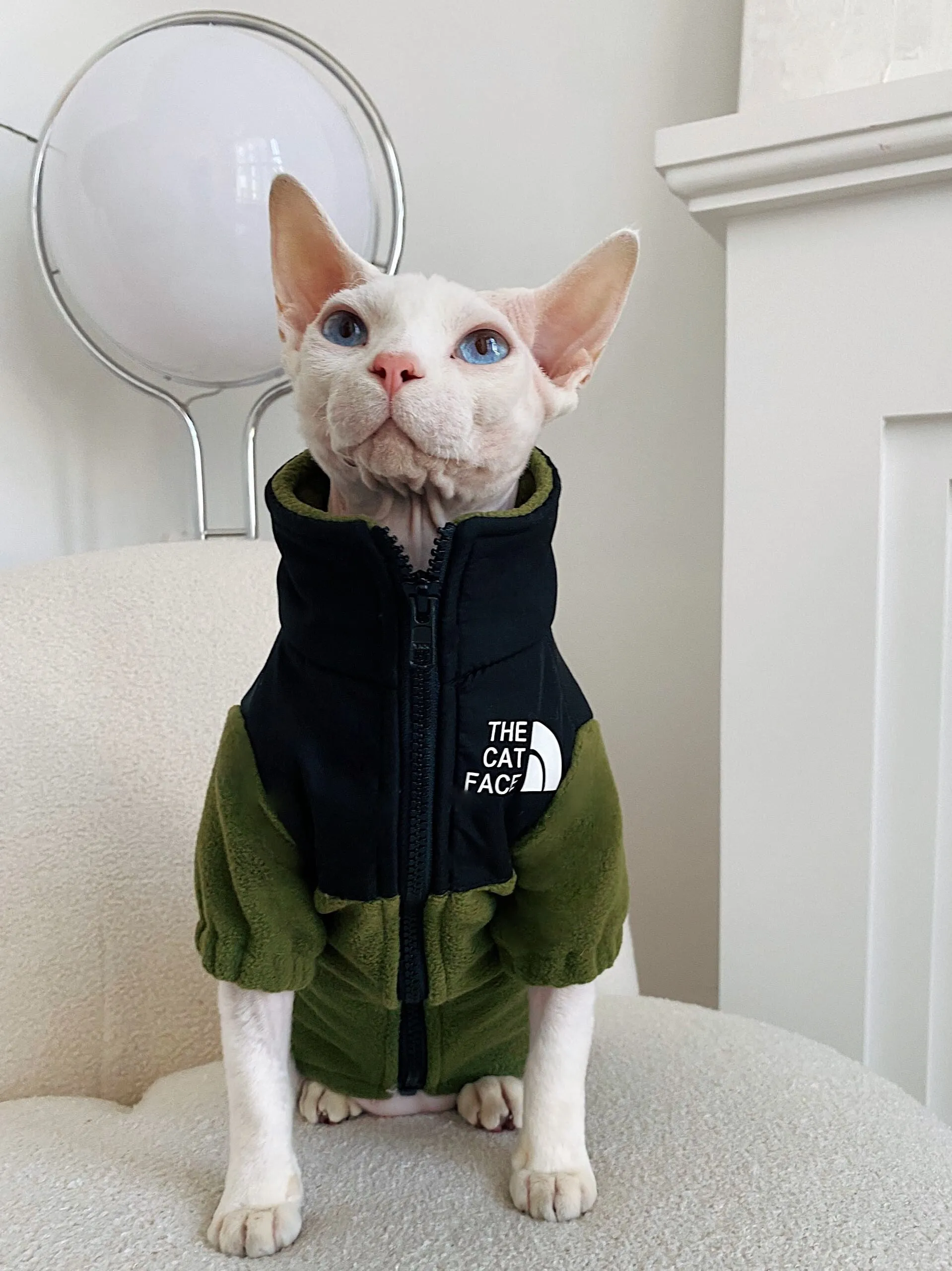 Hairless cat wearing a coral fleece jumpsuit in army green, side view on neutral background