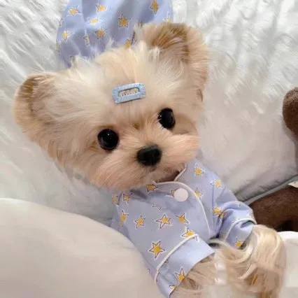 Korean spring blue star-patterned cotton pet pajama suit for dogs and cats