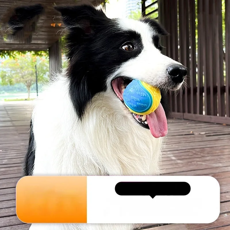 TPR dog training ball with squeaker in bright two-tone colours, showing molar texture on surface.