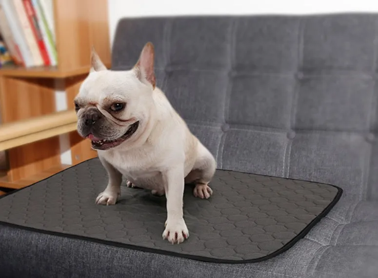 Reusable dog urine pad with non-slip TPU bottom, gray, in L size 100x67x4.5cm