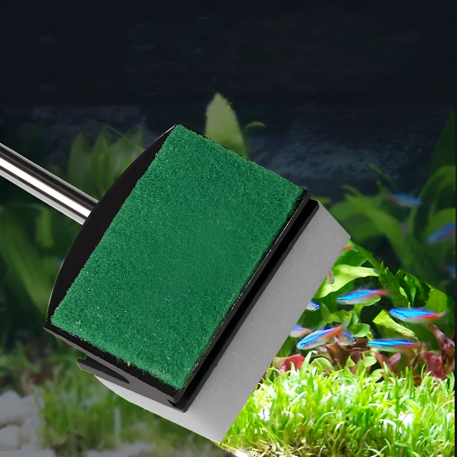 Fish tank aquarium cleaning sponge double brush tool with long stainless steel handle on glass tank