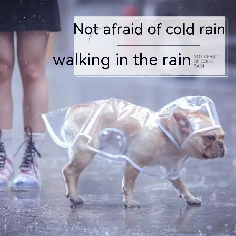 Pet raincoat for small dog, plastic waterproof coat in blue, with pull-on design, available in sizes XS to 8XL