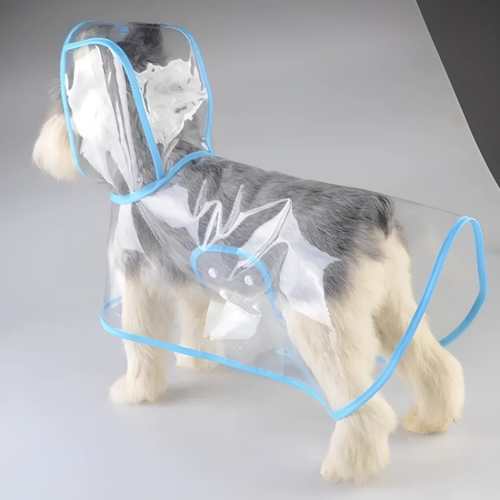 Pet raincoat for small dog, plastic waterproof coat in blue, with pull-on design, available in sizes XS to 8XL