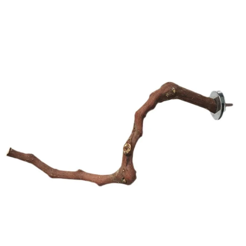 Natural grape wood bird stand pole for parrot cage, unique vine perch