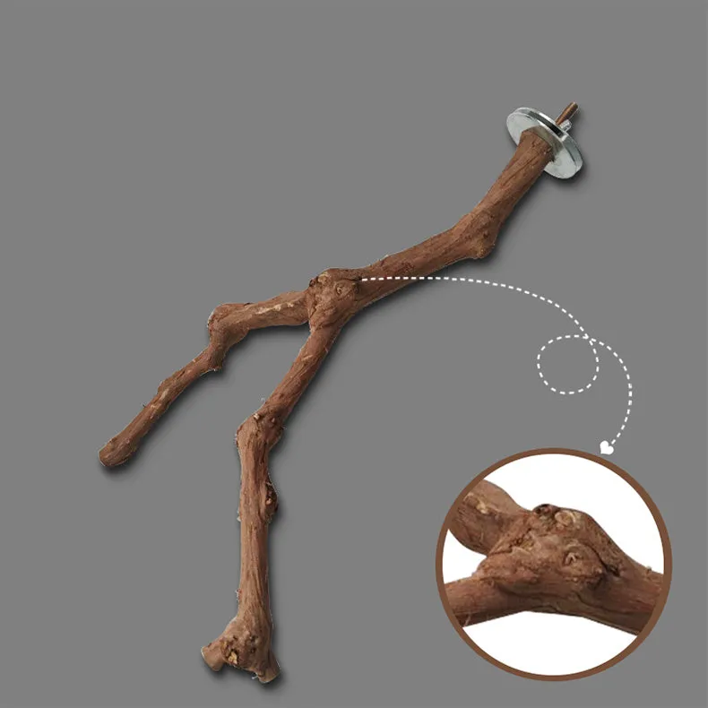 Natural grape wood bird stand pole for parrot cage, unique vine perch