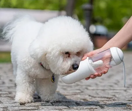 Blue pet travel cup 330ml with filter element next to a dog on a walk