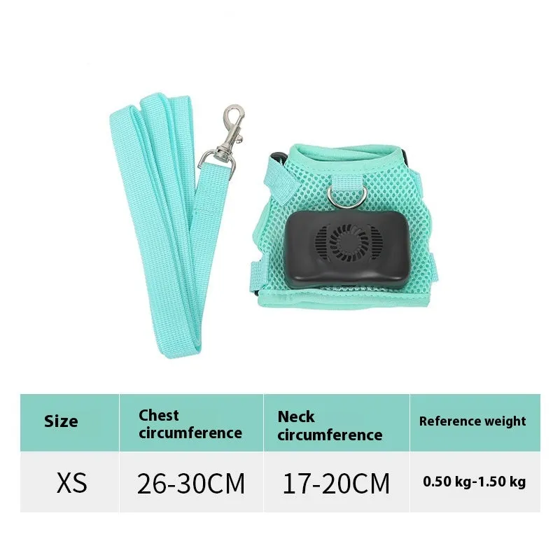 Mint green small dog cooling harness with LED light and leash on a white background