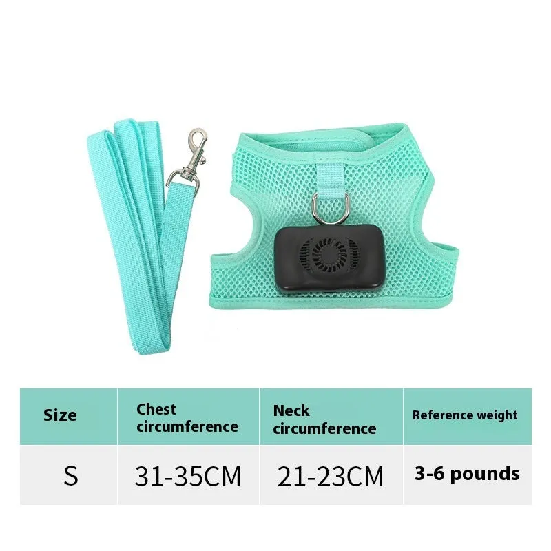 Mint green small dog cooling harness with LED light and leash on a white background