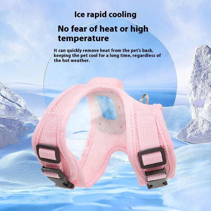 Mint green small dog cooling harness with LED light and leash on a white background