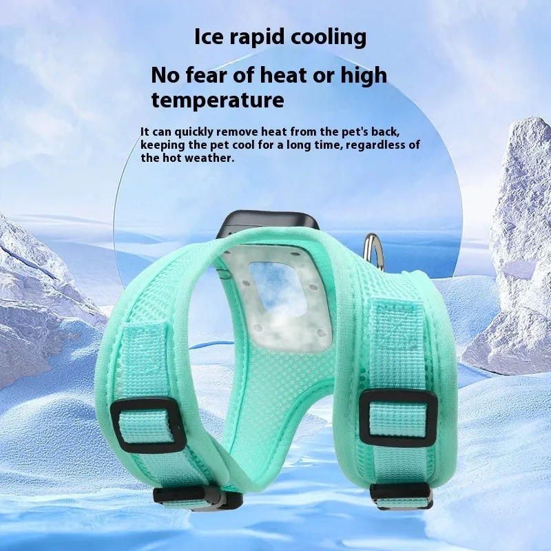Mint green small dog cooling harness with LED light and leash on a white background