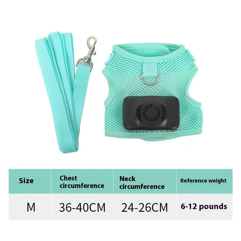 Mint green small dog cooling harness with LED light and leash on a white background