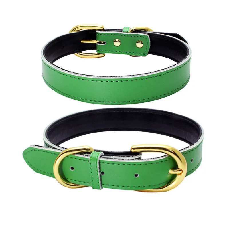 Cowhide pet collar in brown leather with metal buckle on white background